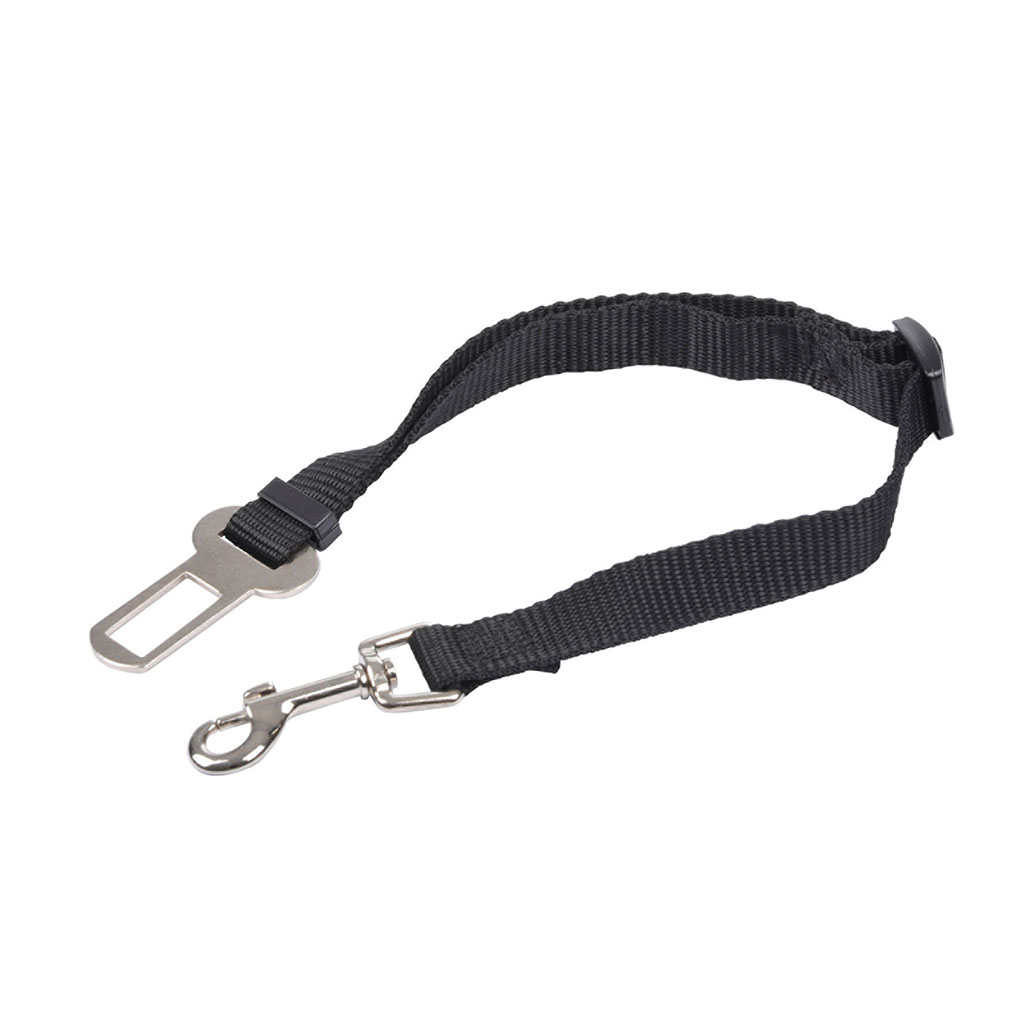Laisse sécurité voiture chien