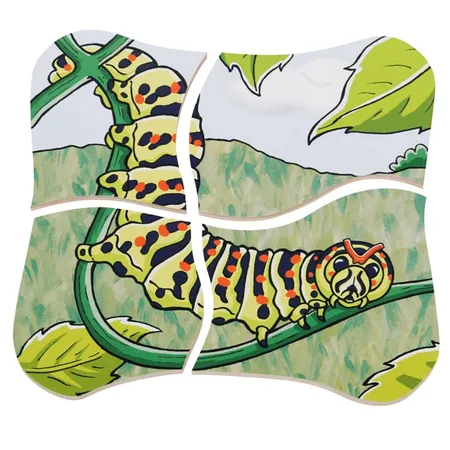 Beleduc Lagen-Puzzle 