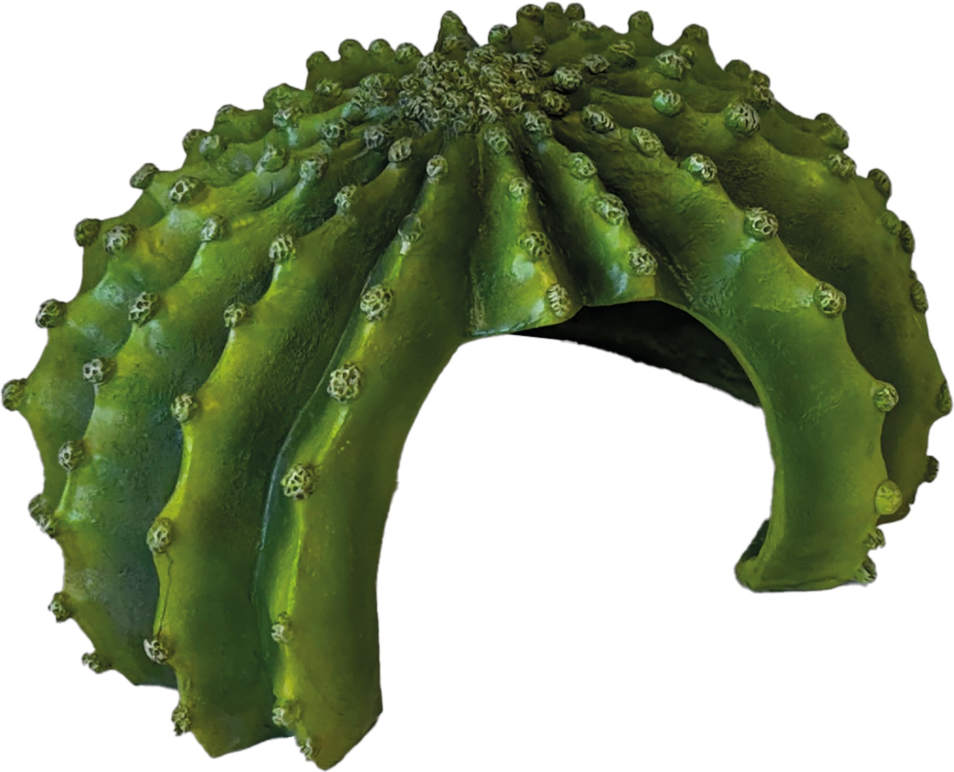 Repto Terrarium Cactus XL Schuilplaats
