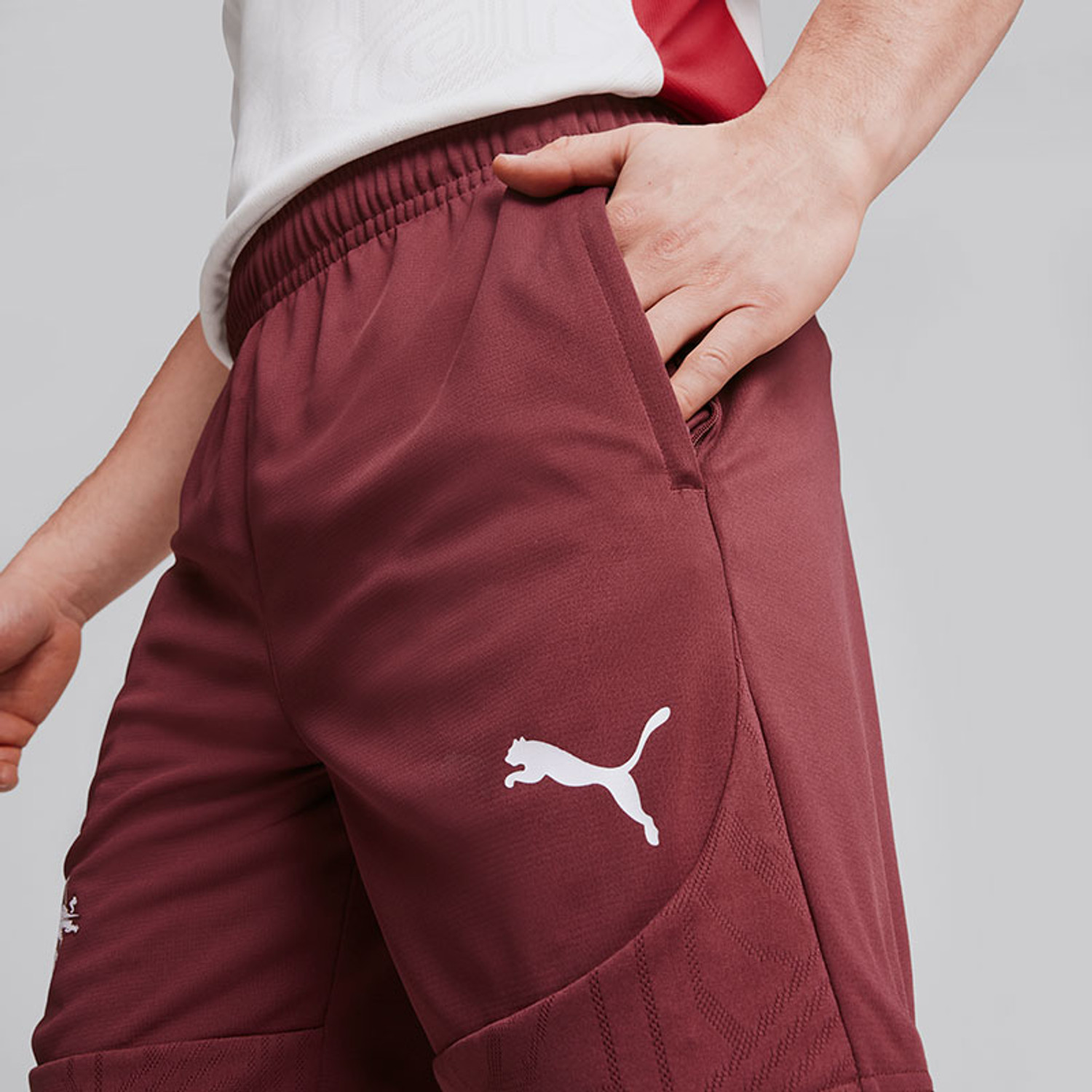 Puma Red Bull Leipzig Training Short 2024/2025