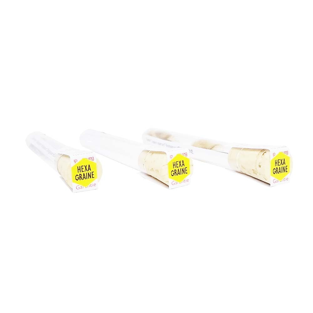 Coffret de semences papetier papiers carton parchemin