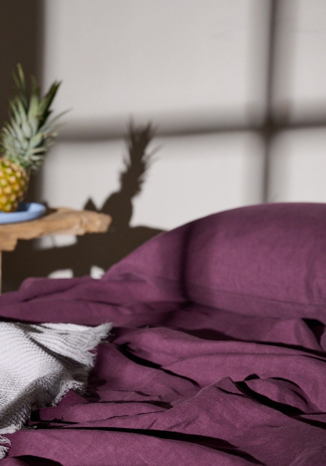Lavie Oberleintuch Linus Plum