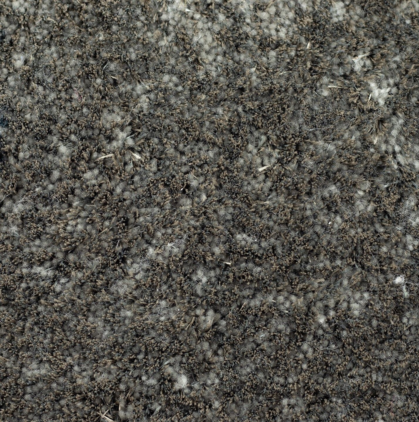 Vloerkleed 686 Viterbo CS  | Brinker