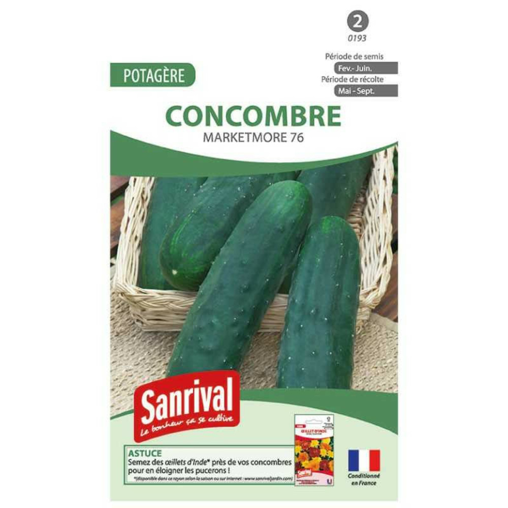 Graines concombre marketmore 76