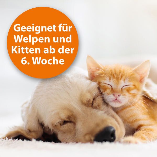 ARDAP® Zeckenspray zur Anwendung am Tier