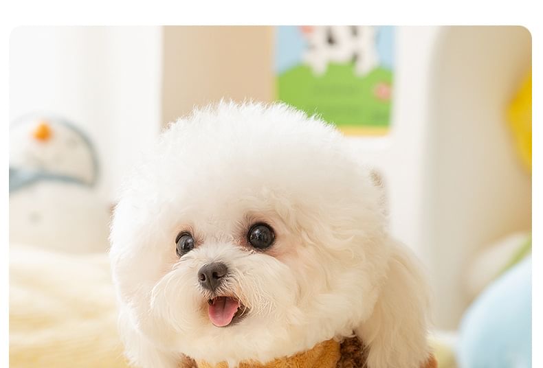 Cissilli - Bear Chenille Pet Top