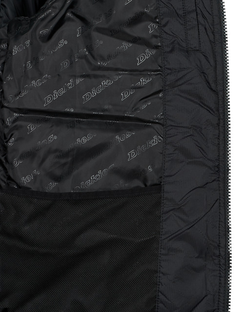 Dickies - WALDENBURG MID - Noir