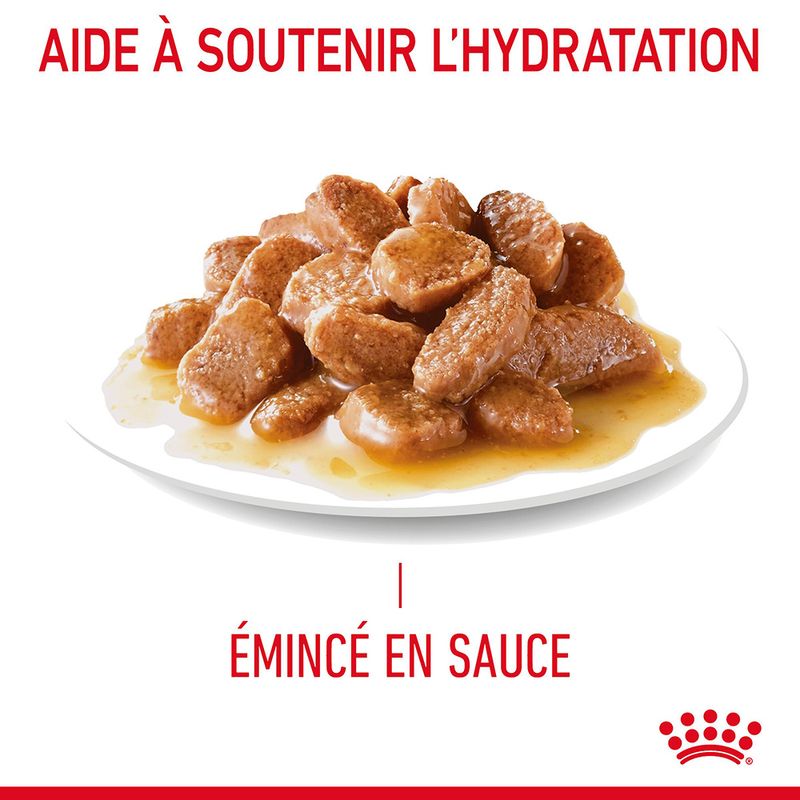 Royal Canin Hairball Care en sauce