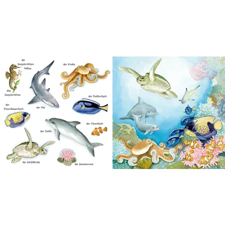 Carlsen Mein kleines buntes Bildwörterbuch: Tiere im und am Wasser