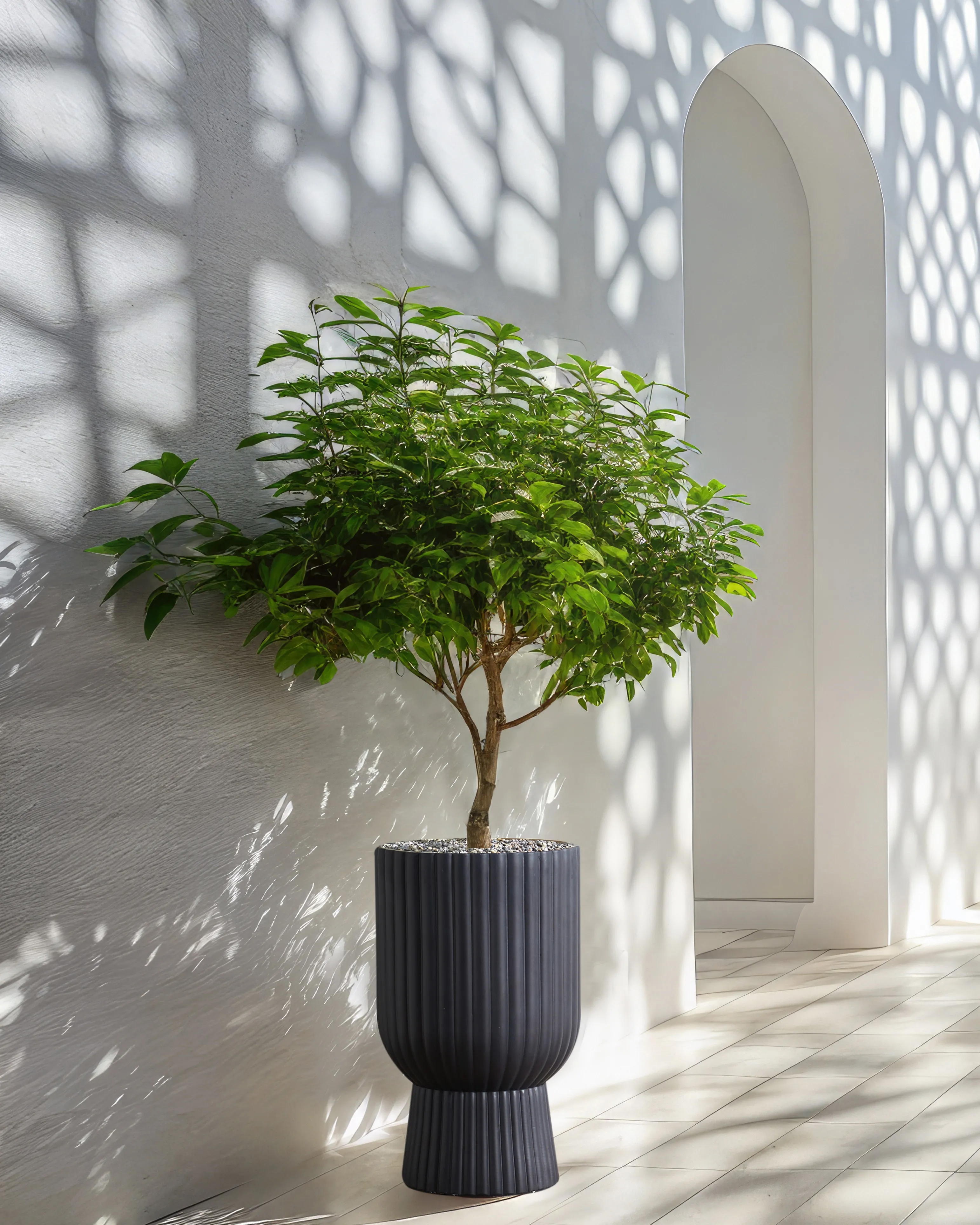 Bloempot TAXODIUM 34 cm Grafietgrijs