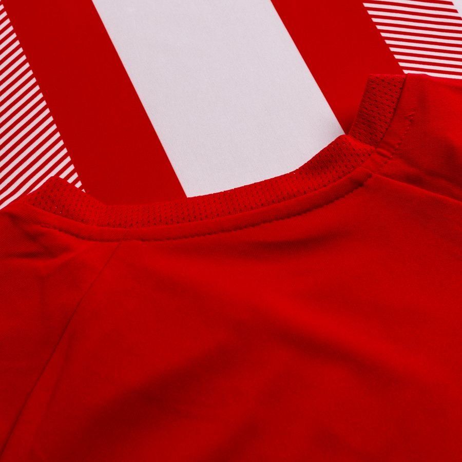 PUMA Maillot teamLIGA - Rouge/Blanc