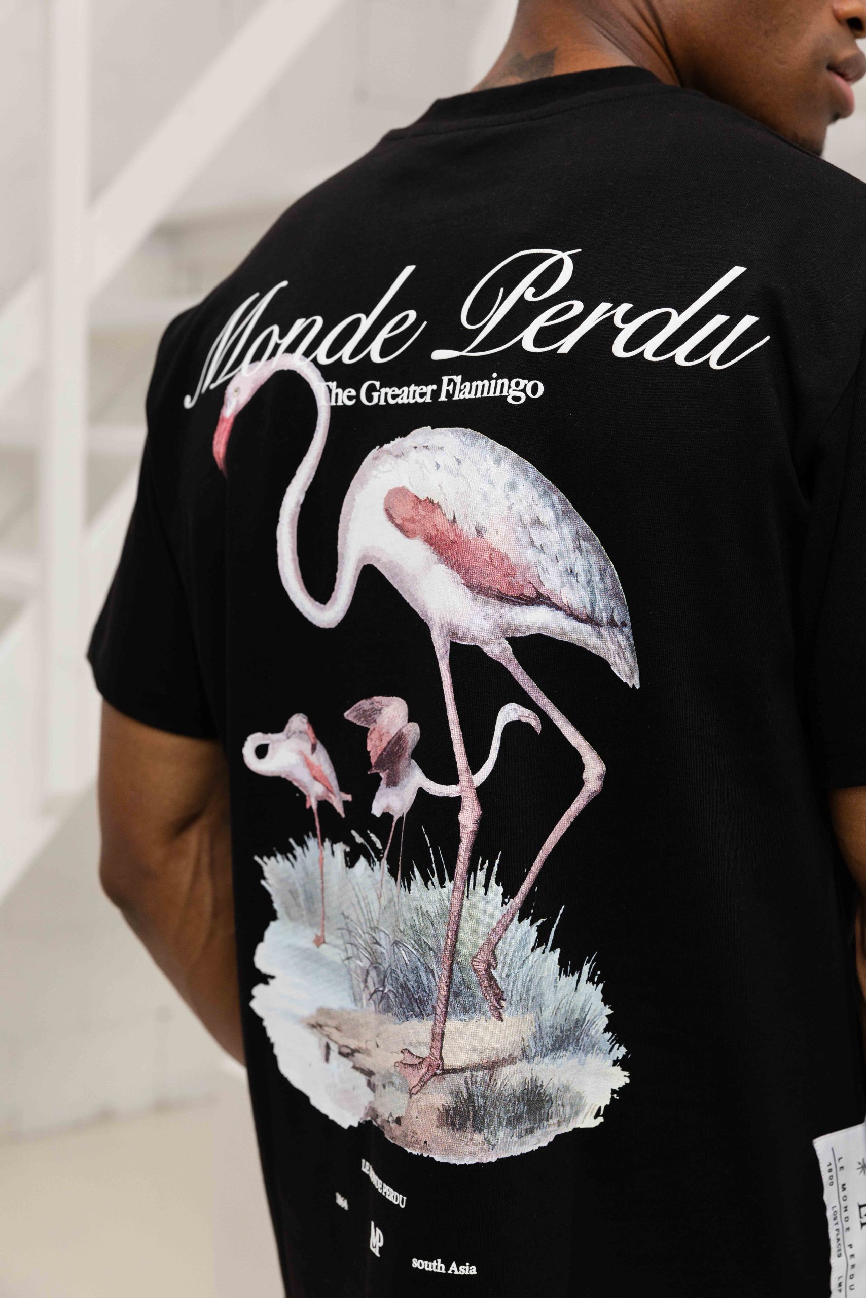 Le Monde Perdu The Greater Flamingo T-Shirt Heren Zwart