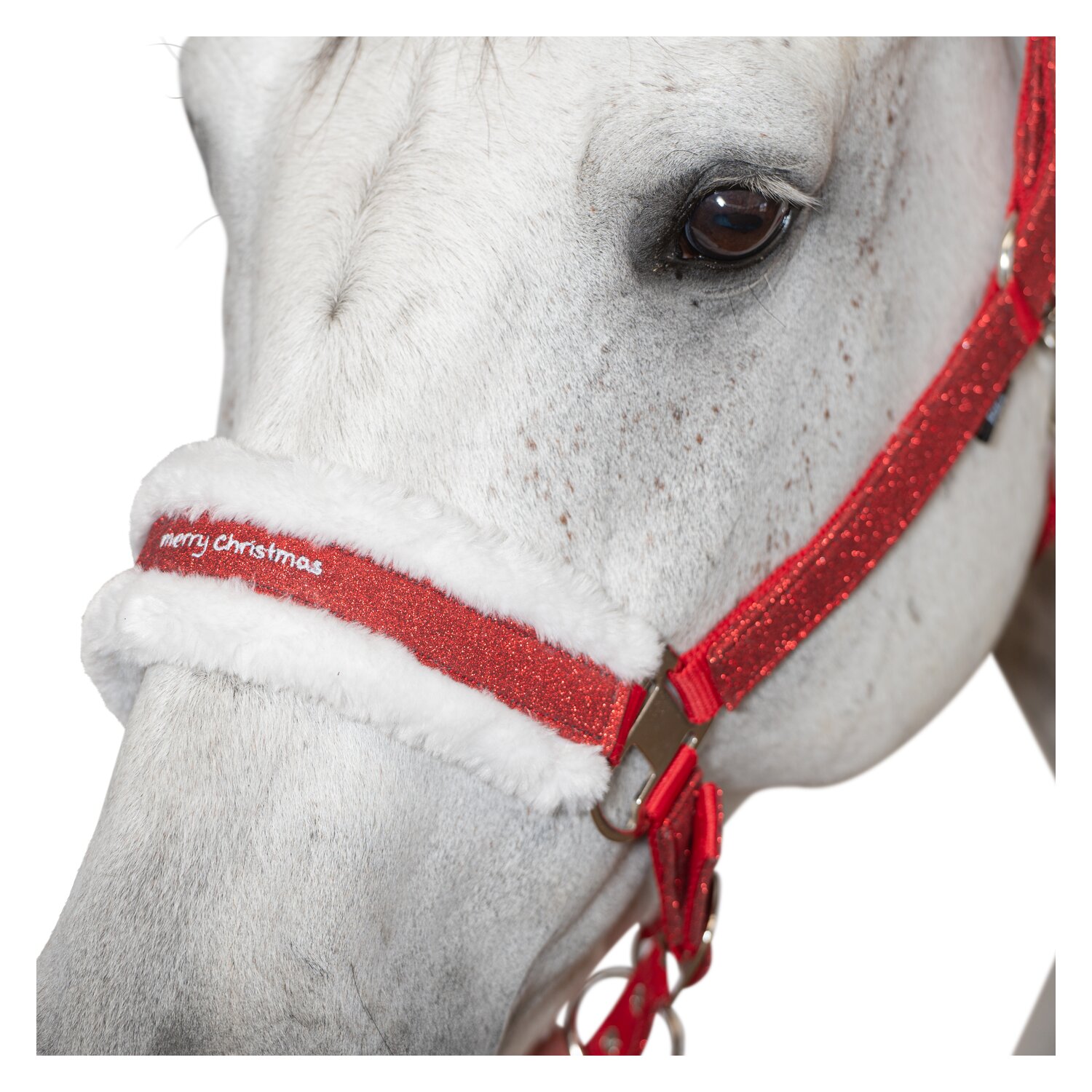 Horse-friends Weihnachtshalfter  - rot