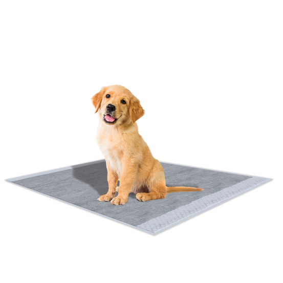 Tapis hygiénique super nappy pour chien 57x54 30 pièces