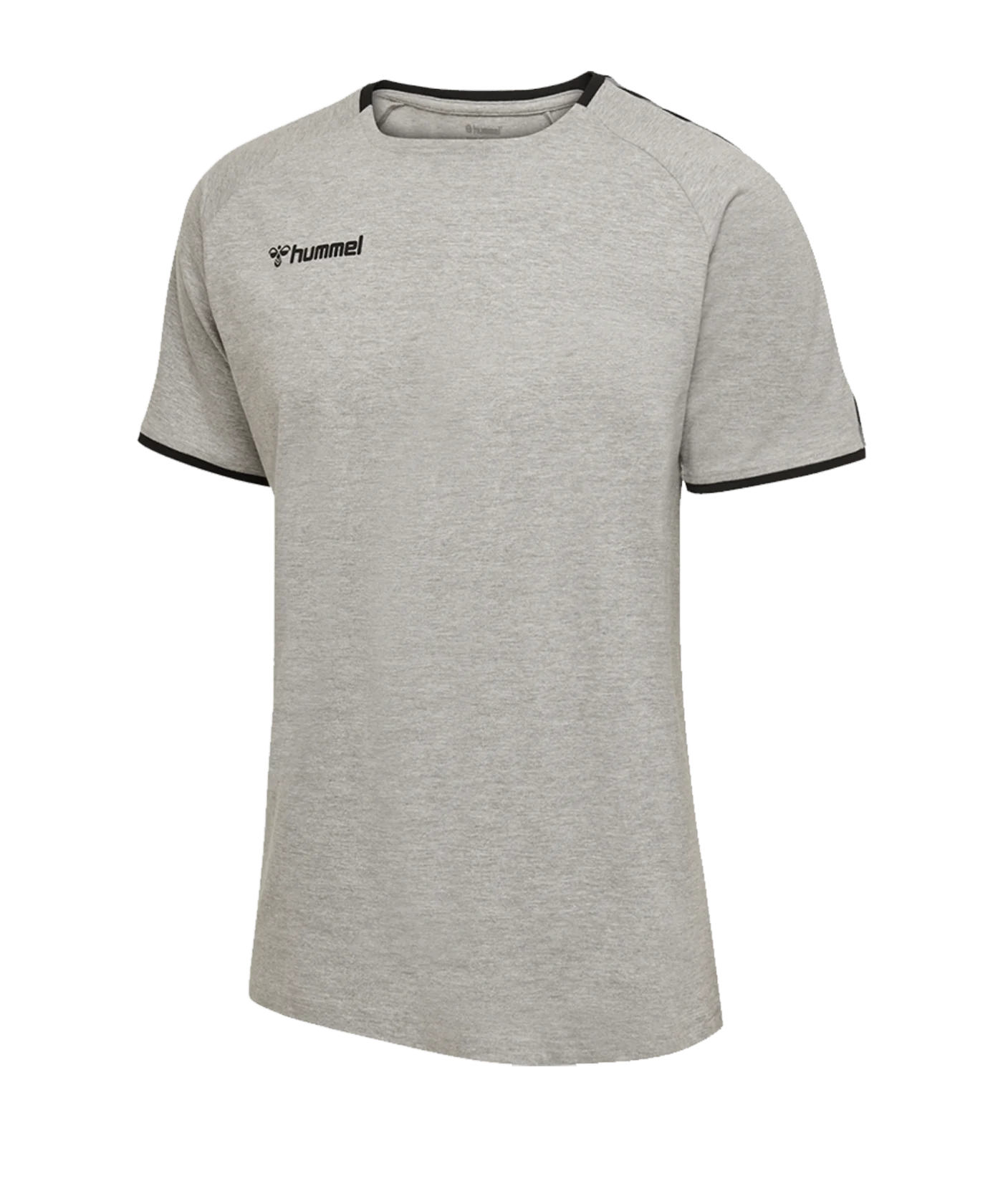Hummel Authentic Trainingsshirt Kids Grau F2006