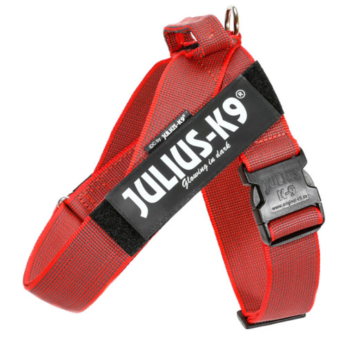 Coleira de cinto Julius K9 IDC vermelha para cães
