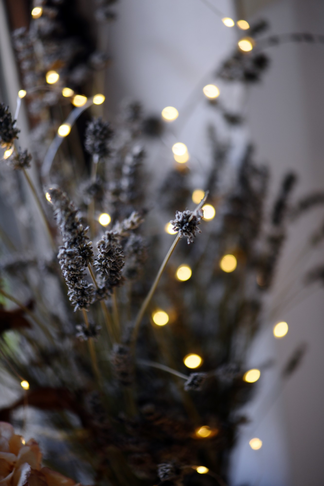 Lichterschnur 'Greville', 50 LED, 265 cm von fischer's lagerhaus
