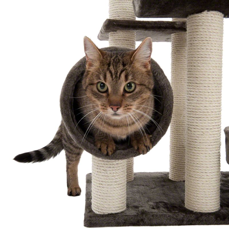 Arbre à chat Pénélope