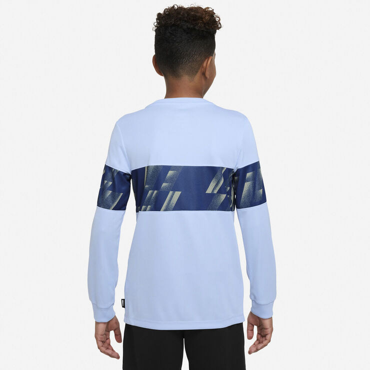 Nike Dri Fit F.c. Libero Traeningstroje Blå