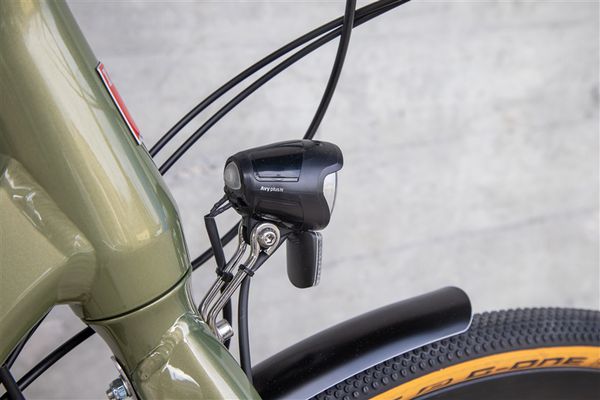 DAILY QUEST Pinion City- und Alltagsvelo  grün  48 CM