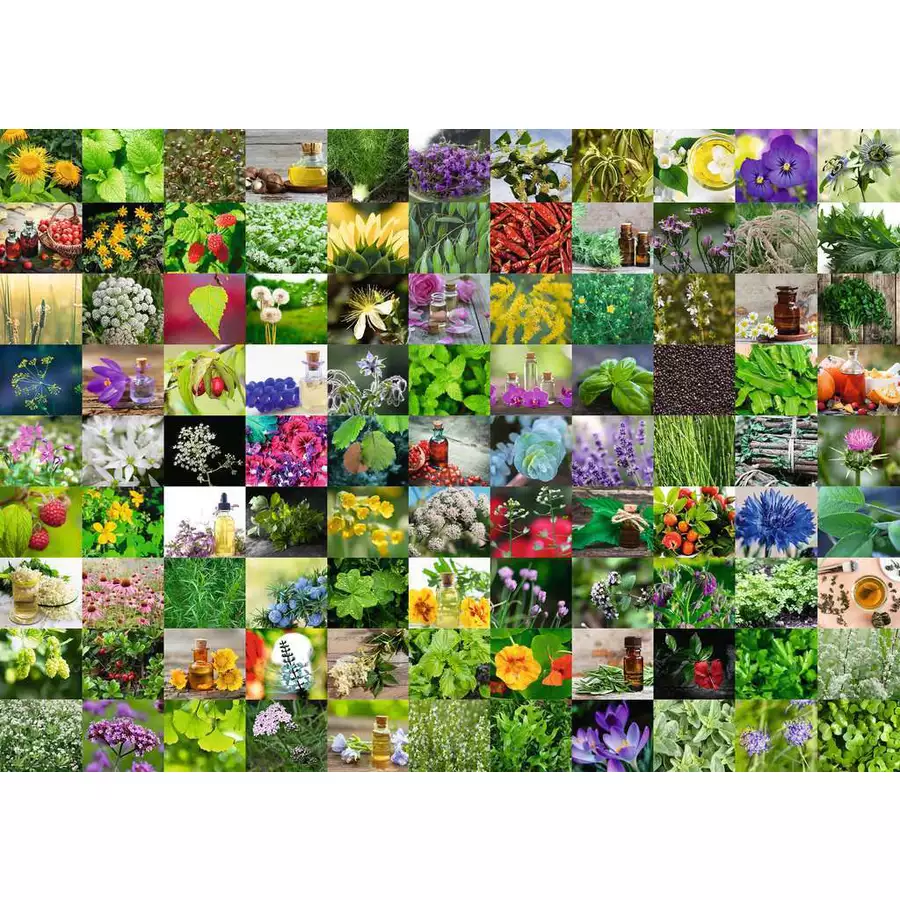 Ravensburger 99 Kräuter und Gewürze bunt