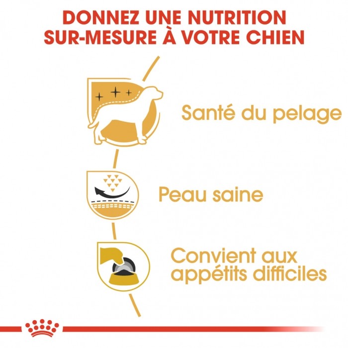 Royal Canin Westie Adult - Croquettes pour chien