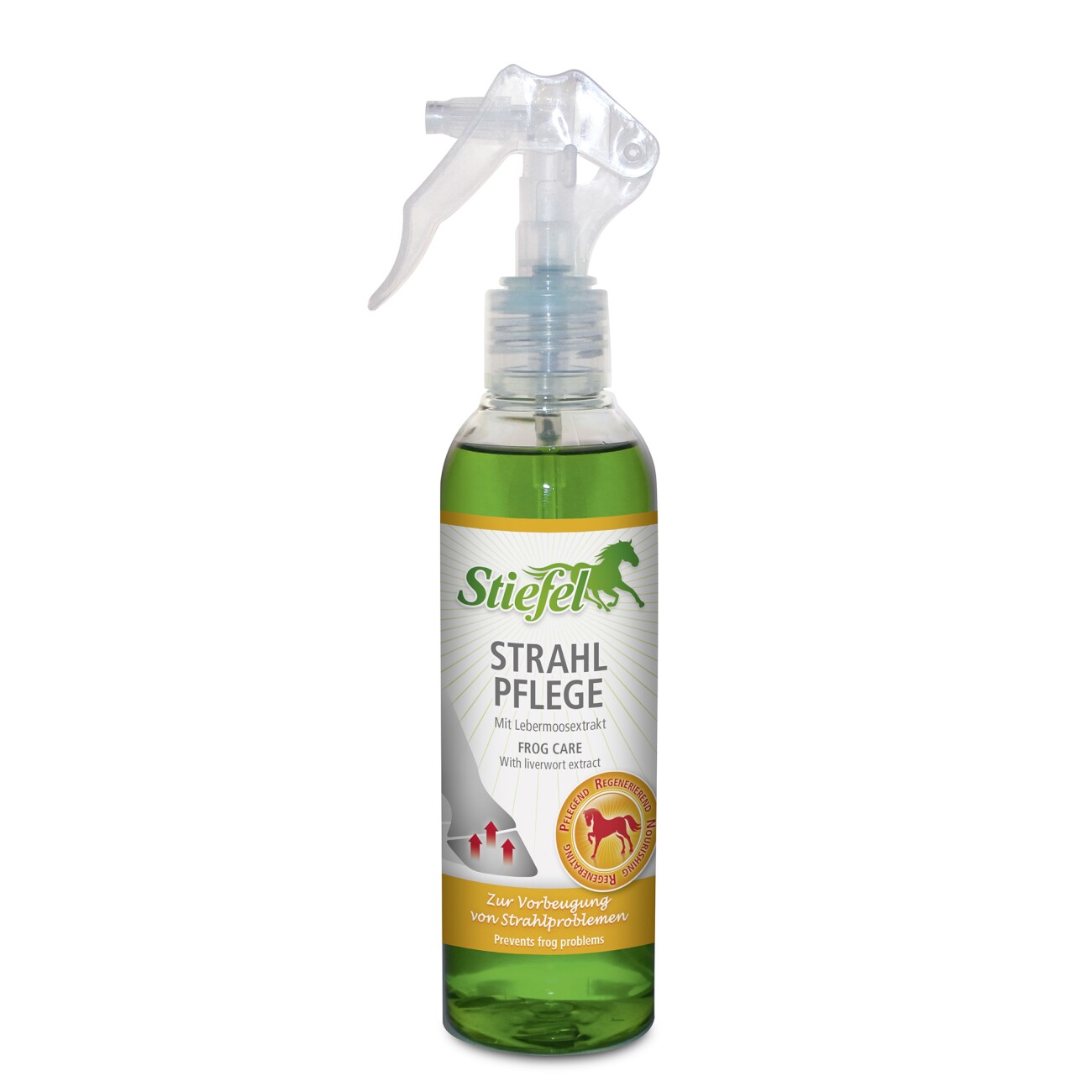 Stiefel Strahl Pflege 200 ml