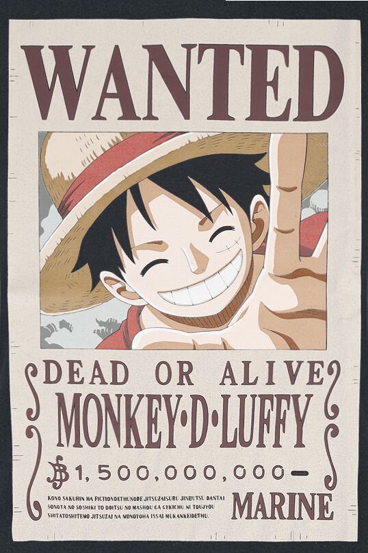 Wanted | One Piece T-Shirt Manches courtes