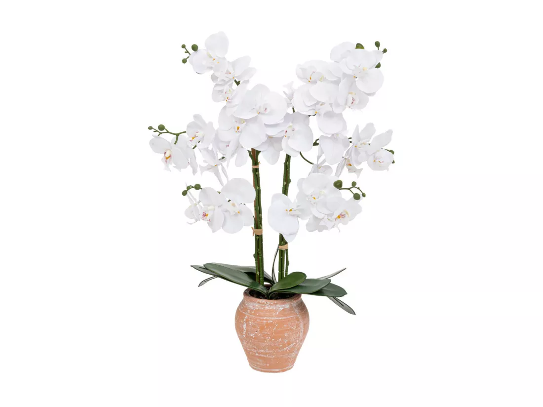 Plante artificielle Orchidée Blanche pot en céramique Terracotta aspect naturel H 65 cm