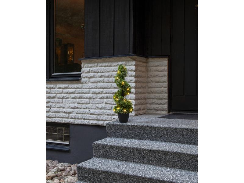 Star Trading Baum Buxbom, 0.65 m, Grün, 20 LED LED Leuchtbaum