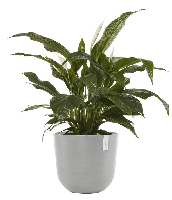 Ecopots Kunststoff-Topf Oslo mit Wassersystem,