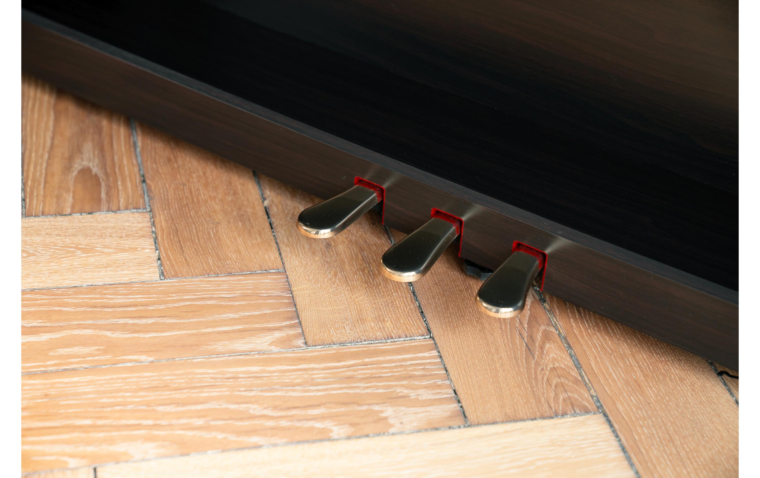 E-Piano CN-301 – Rosenholz<br>Digitalpiano mit Bluetooth-MIDI-Konnektivität, USB-Audiofunktionen und Unterstützung für die neuesten Apps