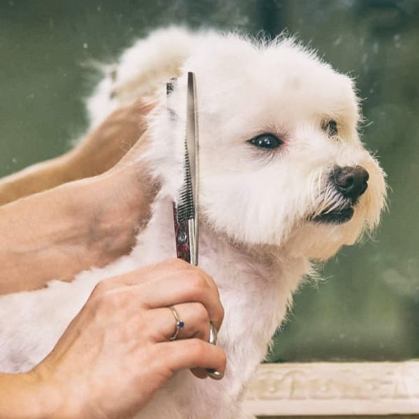 INF Profesjonelt 7-delt hårklippingssaksesett - blå 0