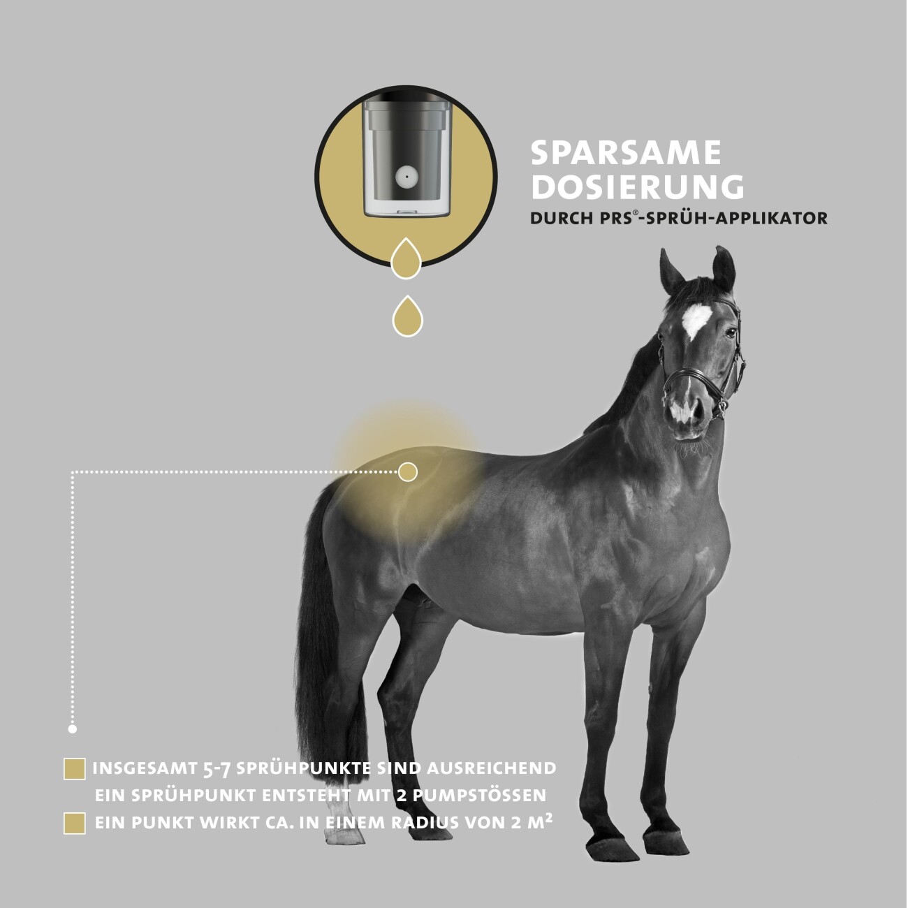 Peticare Anti-Kriebelmücken Gnitzen Spray für Pferde, Sommerekzem vorbeugen 100 ml