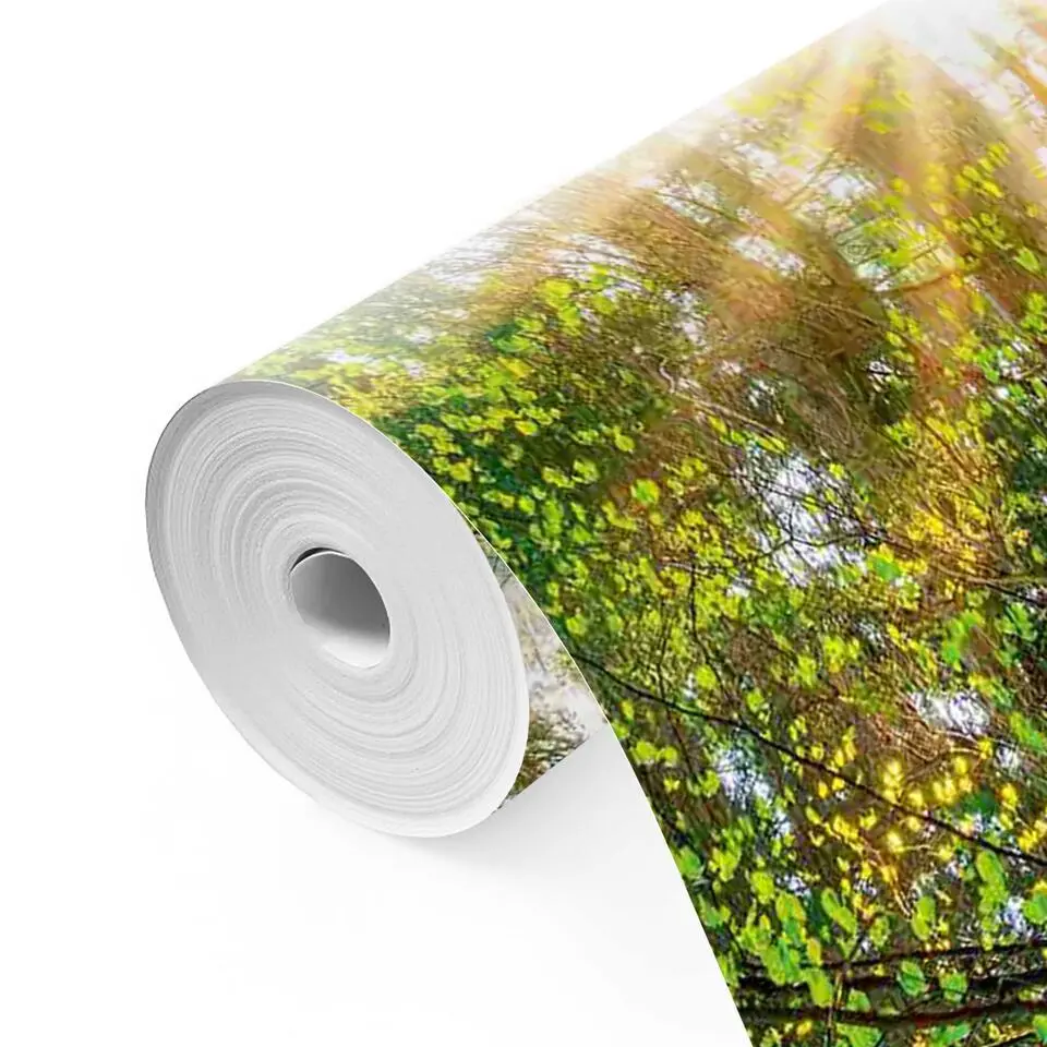 Fotobehang Bos in de zon - 260x384cm - Groen