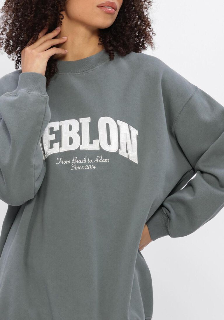 groene deblon sports sweater phoebe sweater