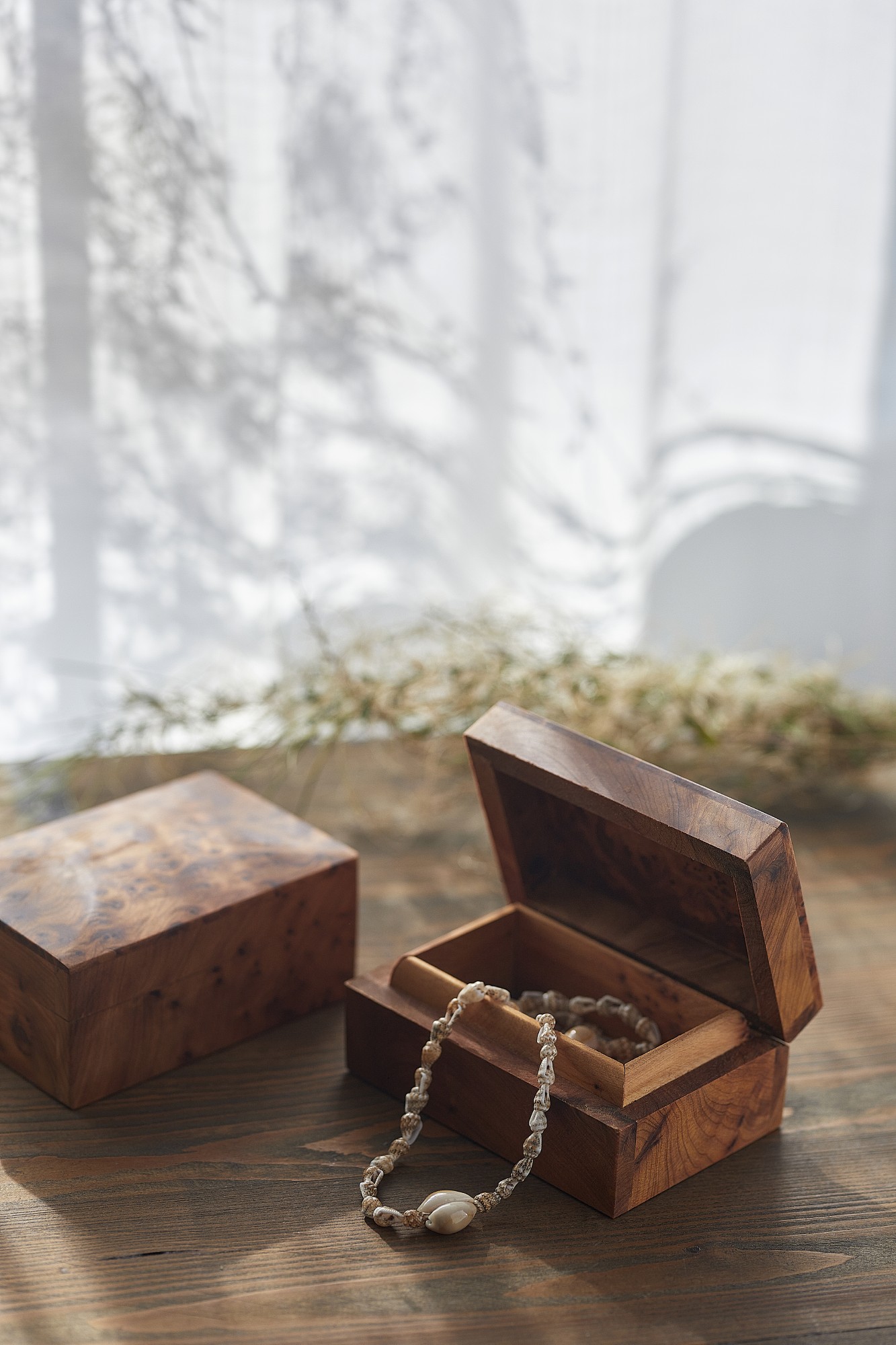 Thuja Box, B 12 cm, L 8,5 cm, H 5,5 cm von fischer's lagerhaus