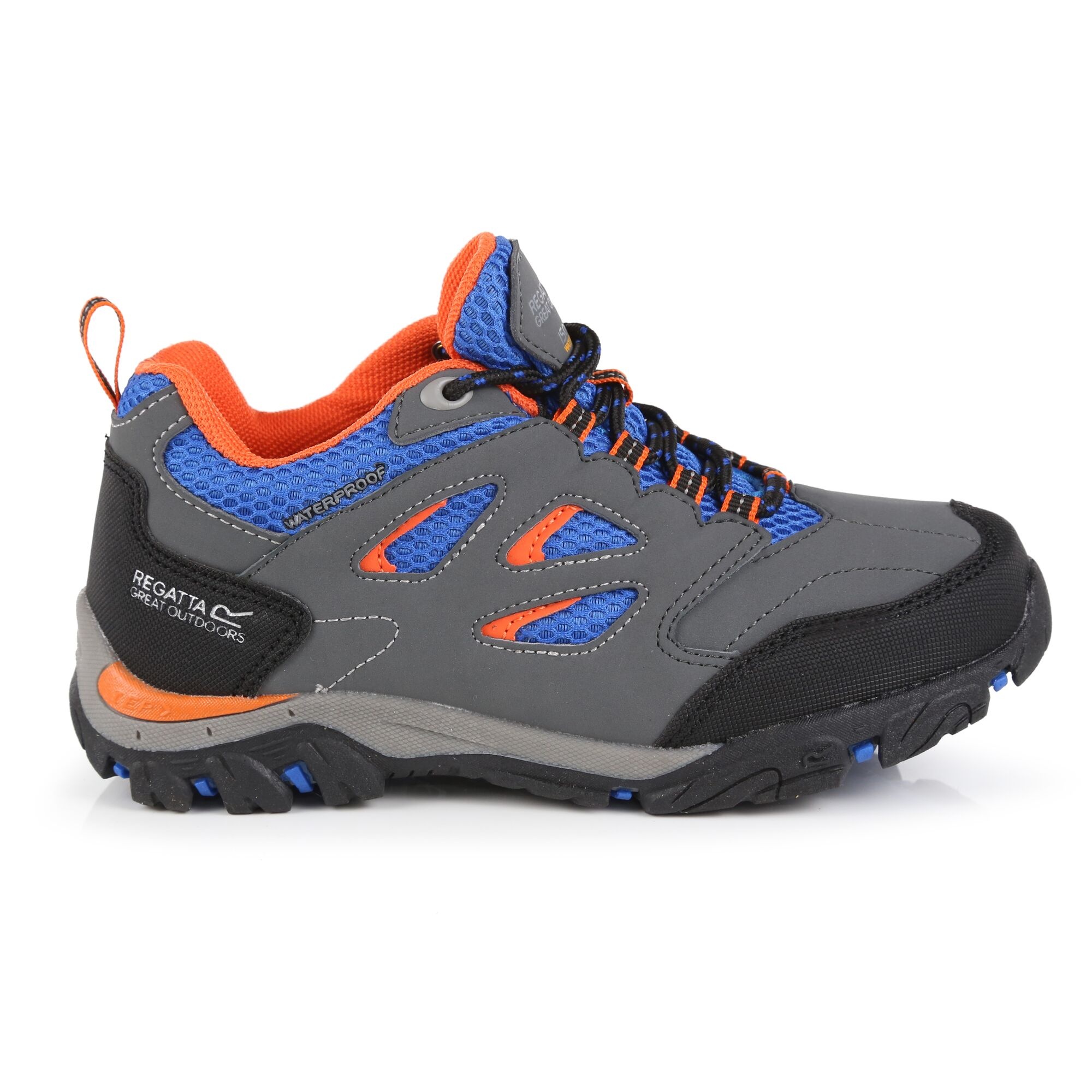 Botas de caminhada Regatta Holcombe Low com cadarço