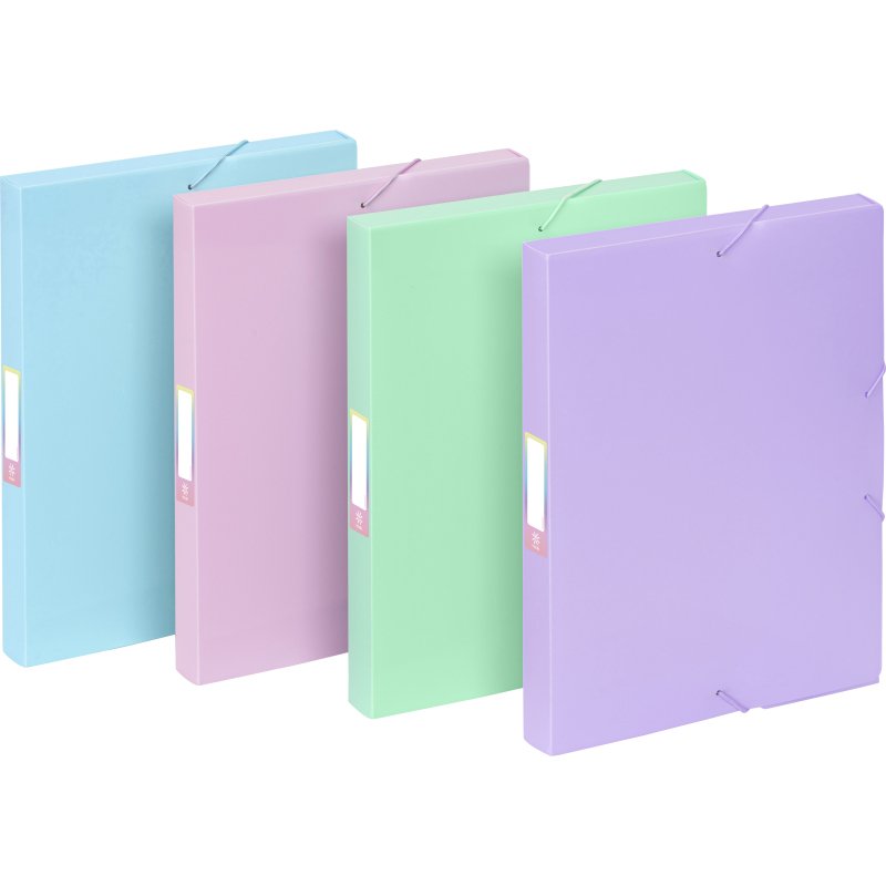 Boîte de classement COOLBOX A4 - Dos 3 cm - polypropylène - RAINBOW PASTEL VIQUEL - Coloris assortis