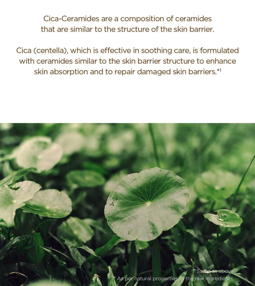 SKIN 1004 - Madagascar Centella Probio-Cica Intensieve Ampul Mini