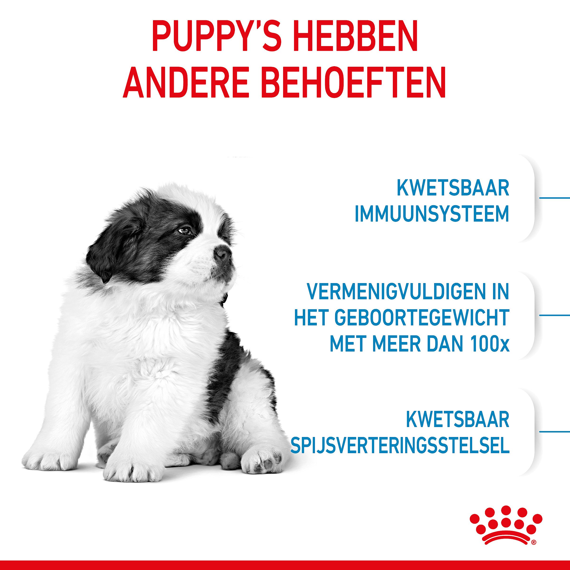ROYAL CANIN® Giant Dog Puppy >45Kg 14kg - Hondenvoer voor de spijsvertering en gewrichten van pups van zeer grote honden vanaf 45 kilo