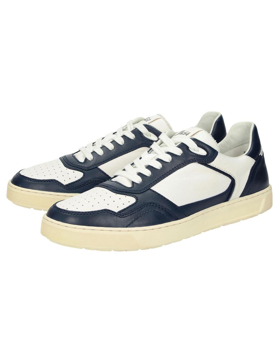 Sneaker Tedroso-704