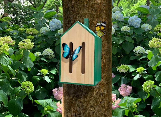 Sommerfuglhus