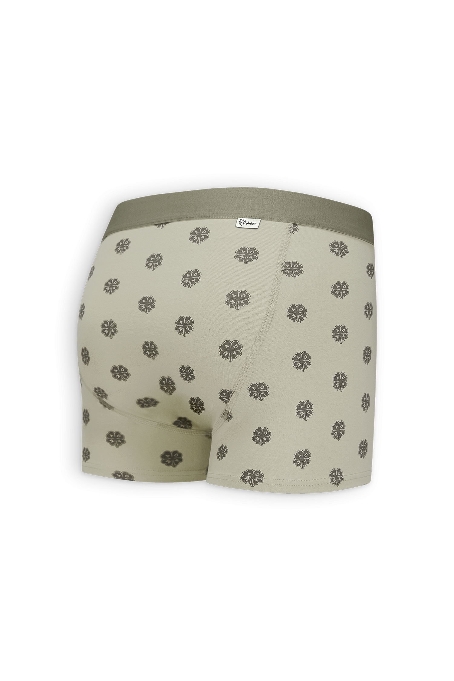 Sage Lucky Boxer
