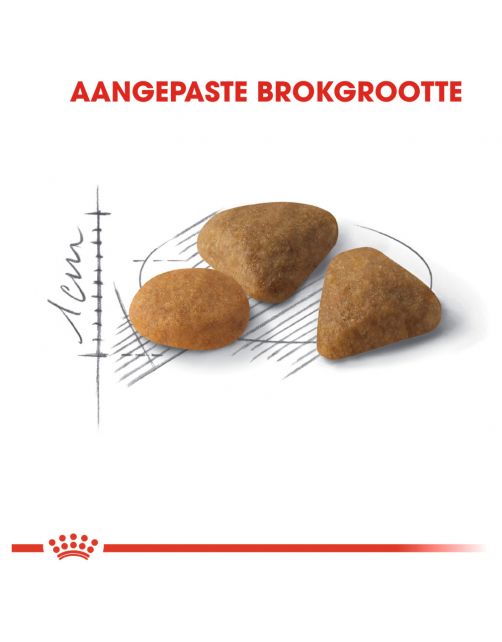 Royal Canin Savour Exigent - Kattenvoer