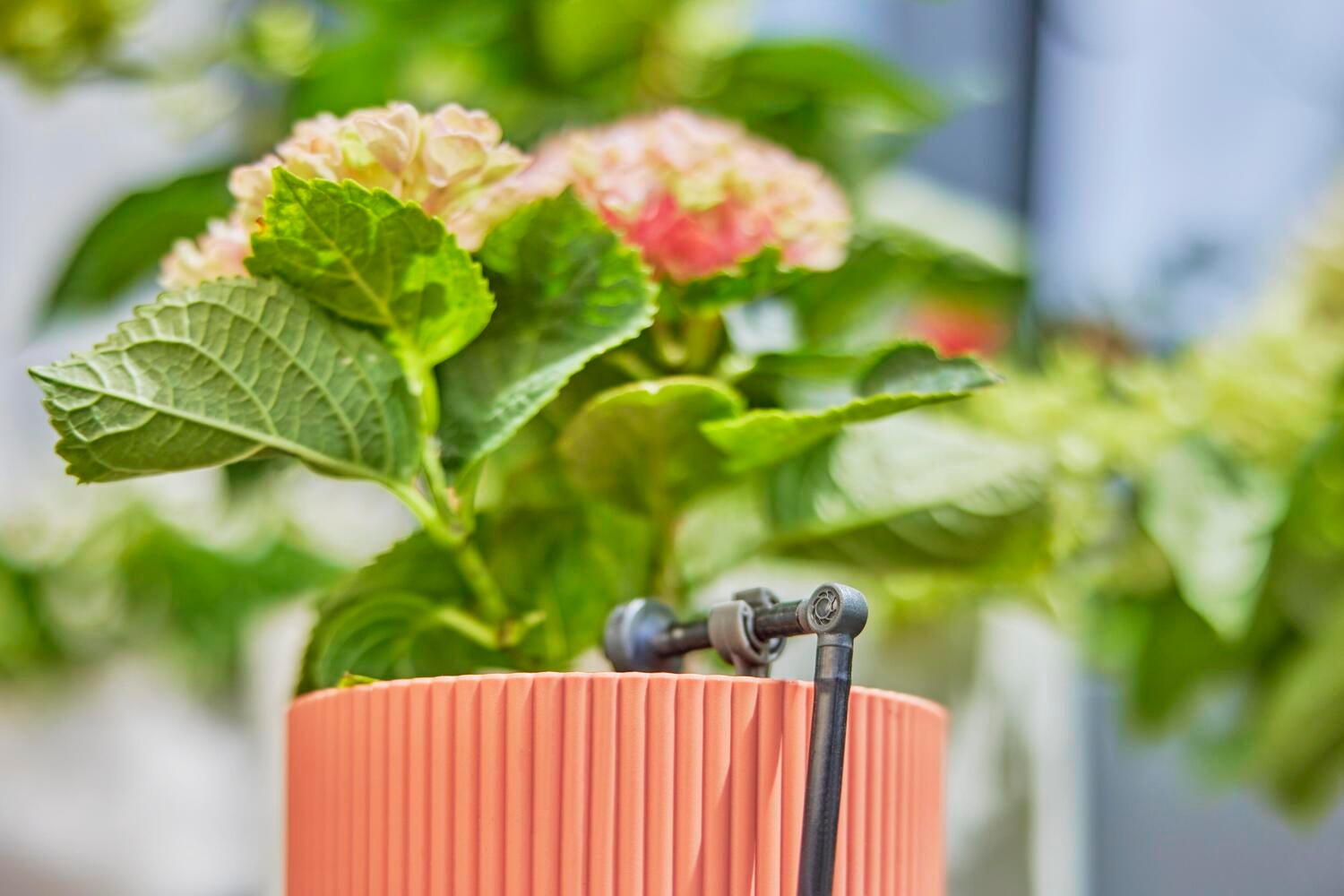 Gardena Micro Drip systeem drukcompenserende einddruppelaar 2 L