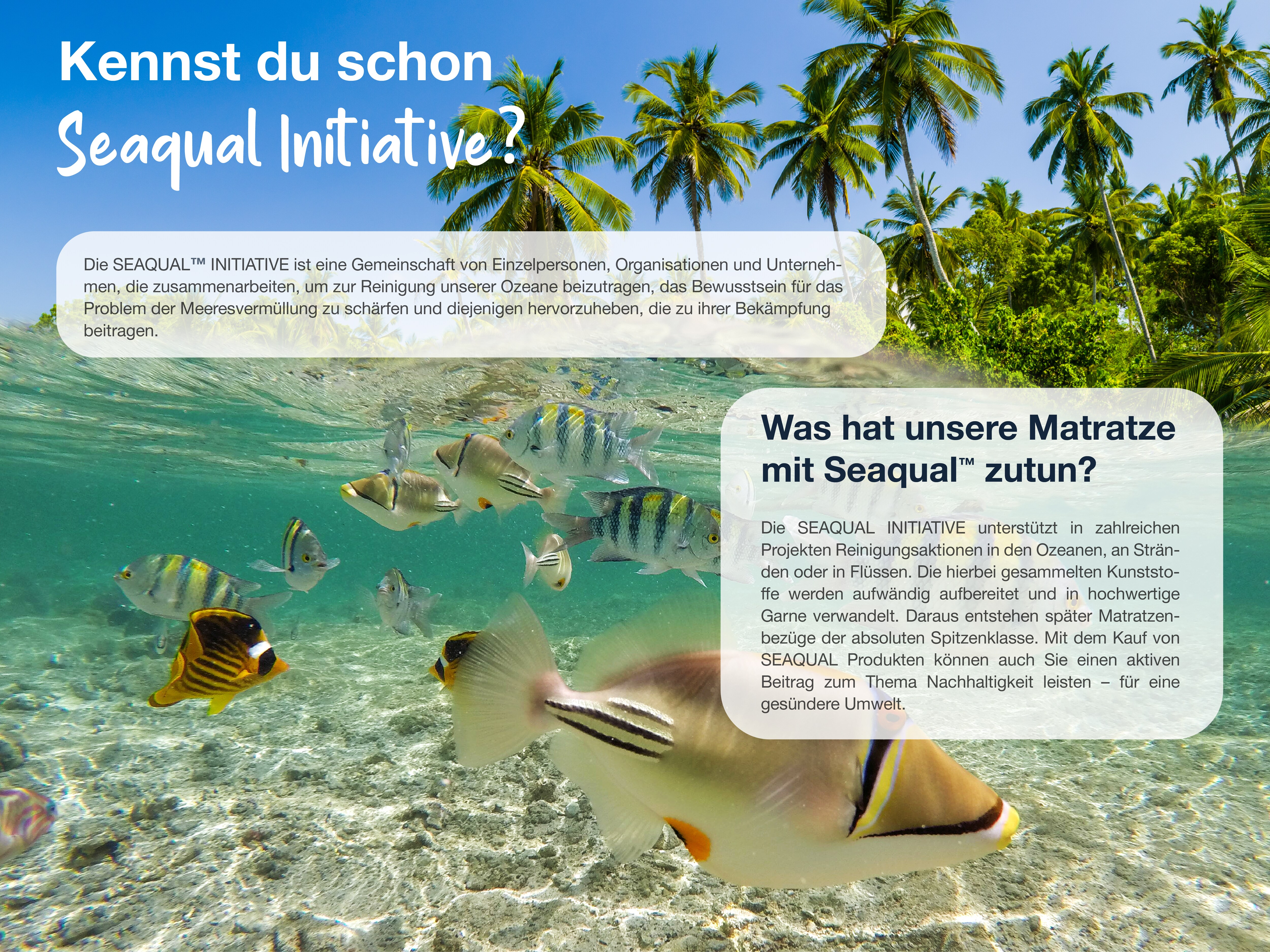 Hn8 Schlafsysteme Ocean Clean TFK 90x190 (H2)