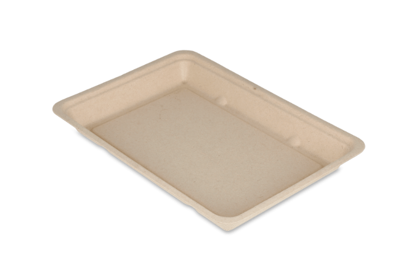 Snackschaaltje V3 suikerriet Plastic- en Pfas-vrij BIO