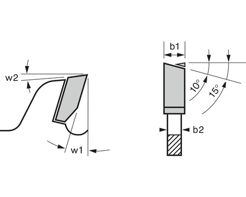 Cirkelzaagblad Expert voor hout Ø 250x30 mm Z 40