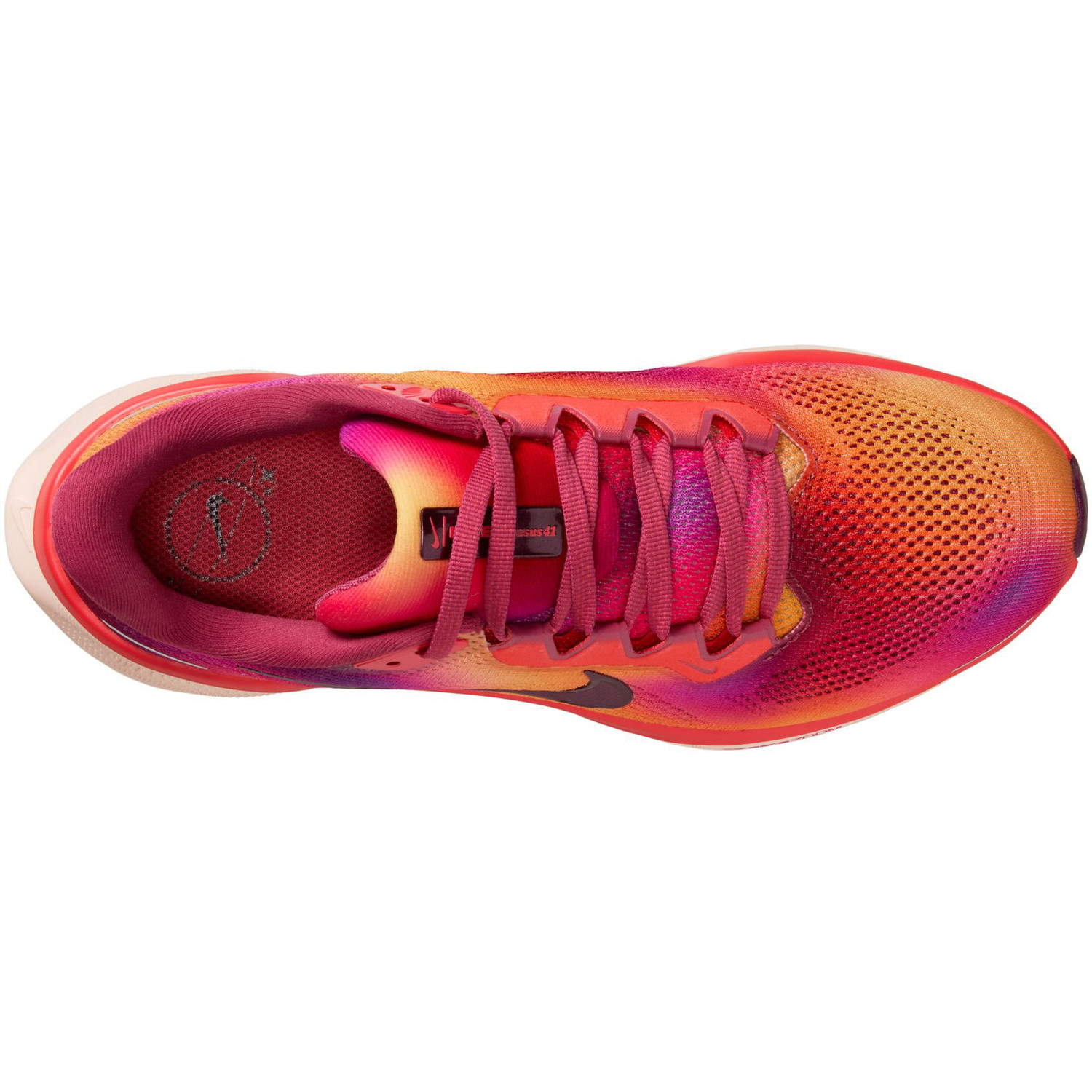 Nike Pegasus 41 SE Dames